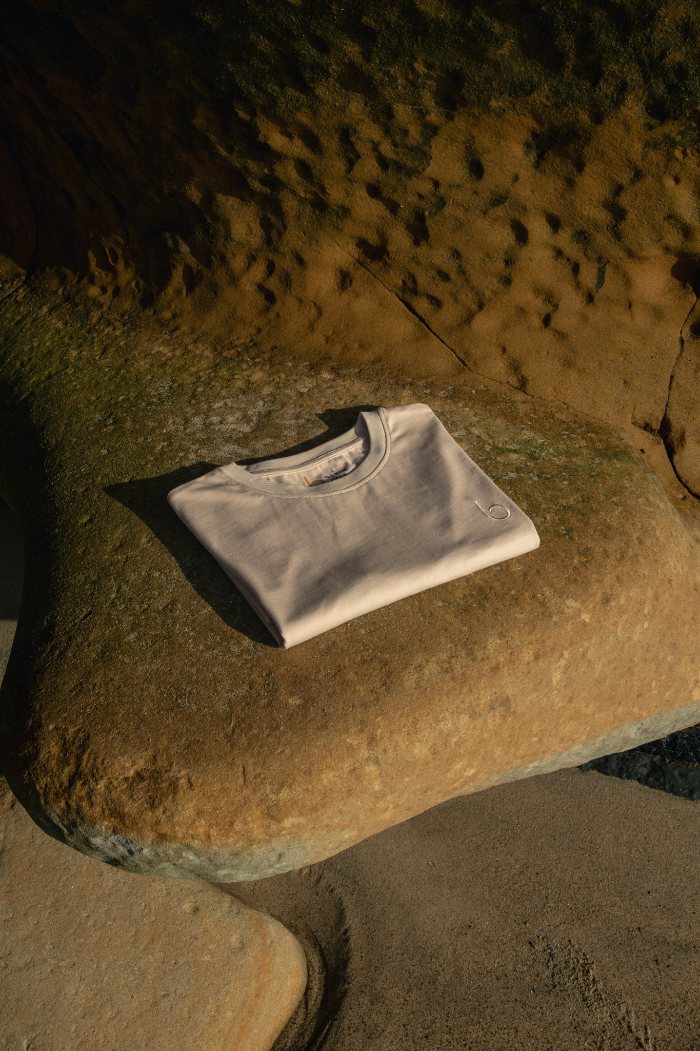 Moses Collection - True Brethren