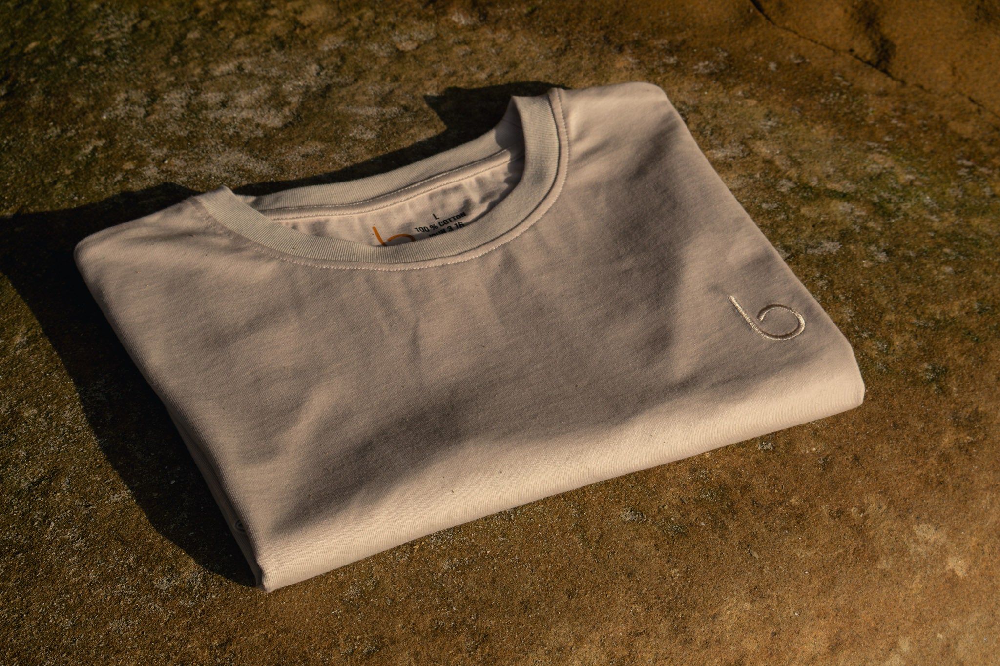 Moses Collection - True Brethren